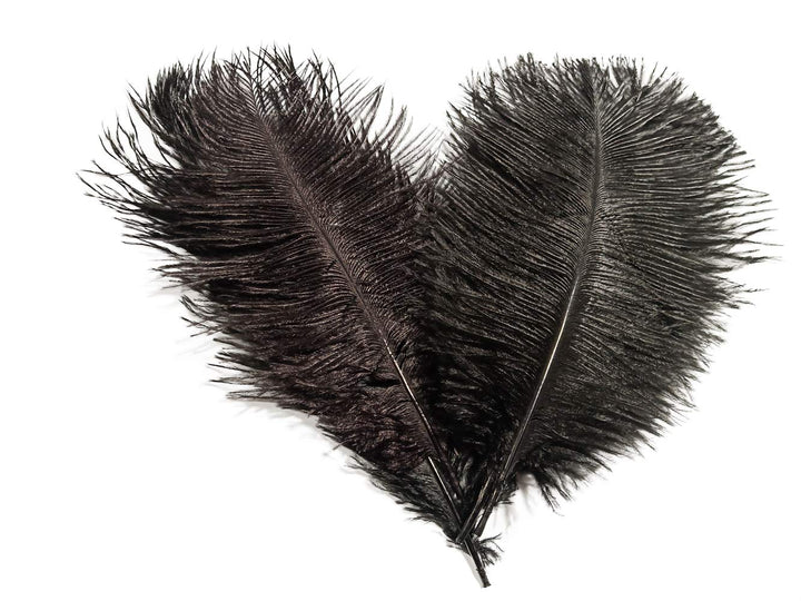 Ostrich Feathers 8-10 inch / 20-25 cm Pack of 10 (Wine red)