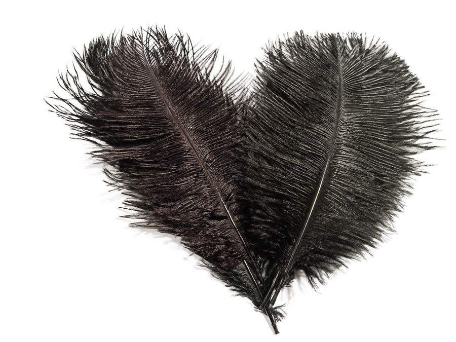 Ostrich Feathers 8-10 inch / 20-25 cm Pack of 10 (Wine red)