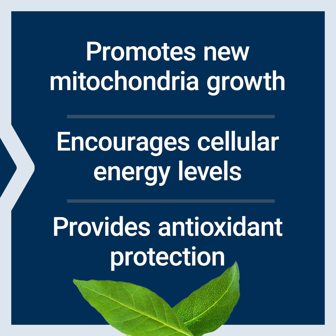 PQQ, pyrroloquinoline Quinone, 20 mg, Promotes The Growth of New Mitochondria, Gluten-Free, Non-GMO, Vegetarian, 1 Daily, 30 Capsules