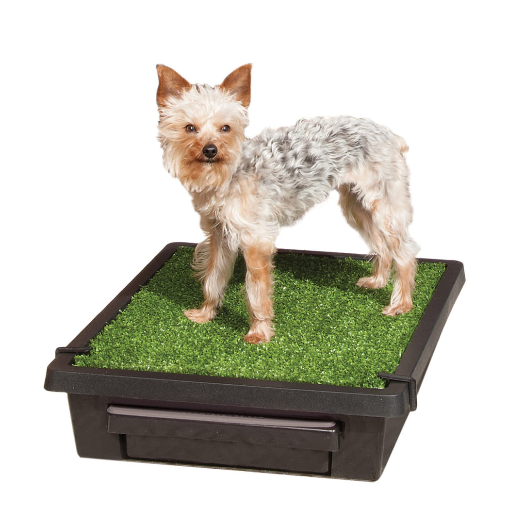 Pet Loo Portable Dog Potty - Pet Toilet Alternative for Puppy Pads - Small - Perfect for House Training - Easy-to-Clean Grass Mat