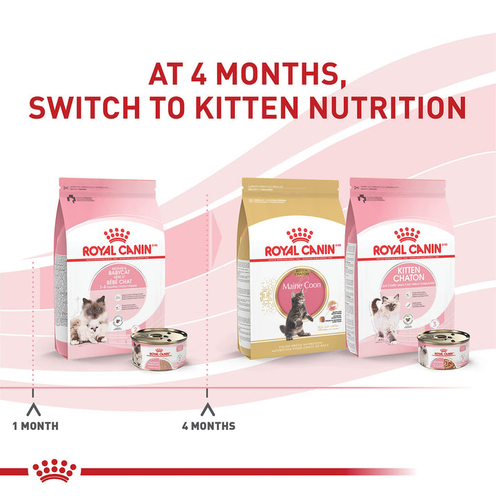 Feline Health Nutrition Mother & Babycat Ultra Soft Mousse in Sauce Canned Cat Food, 3 oz can (24-count)