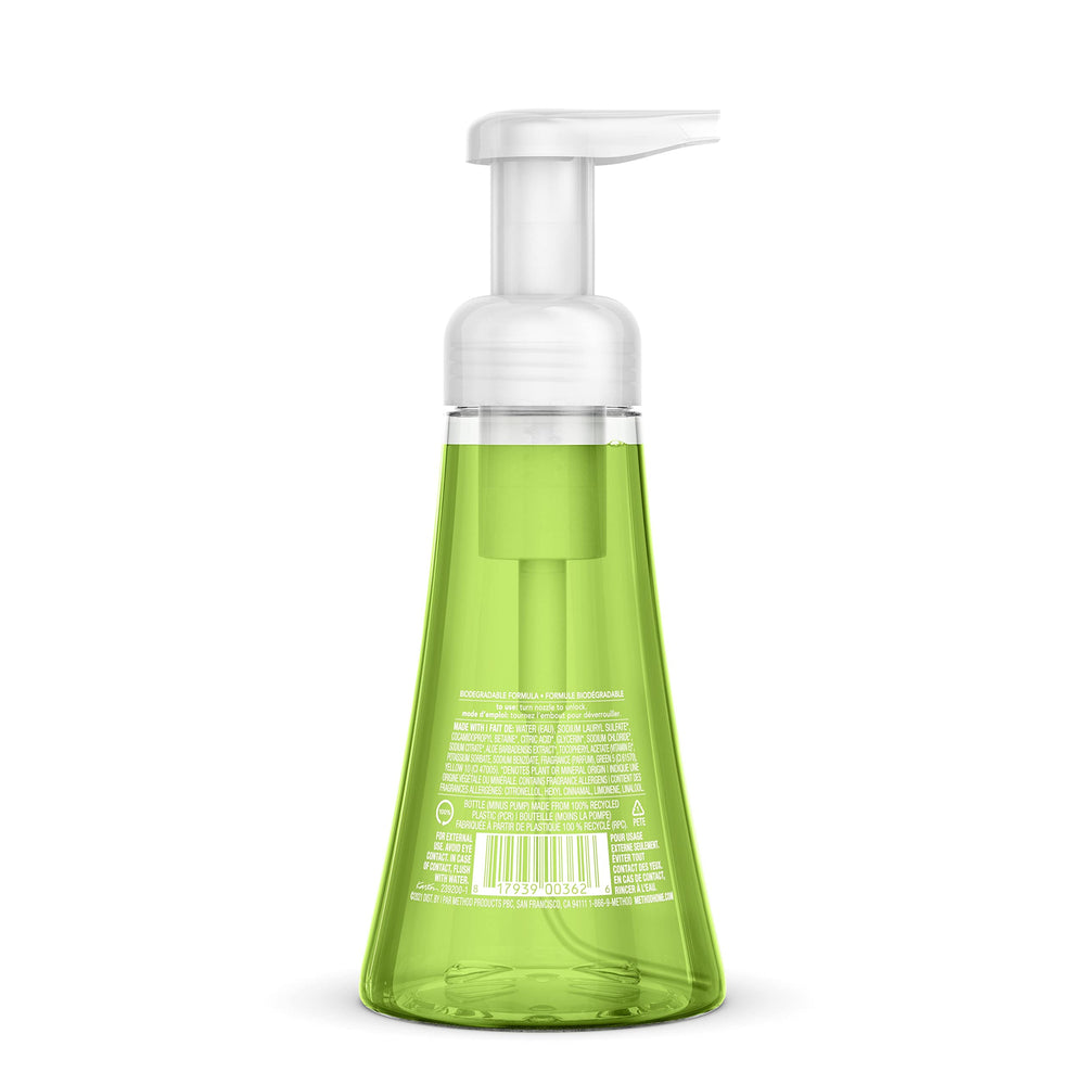 Naturally Derived Foaming Hand Wash, Green Tea + Aloe, 10 oz. (Pack of 6)