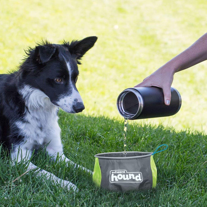 Port-A-Bowl Portable Dog Dish, 48 oz