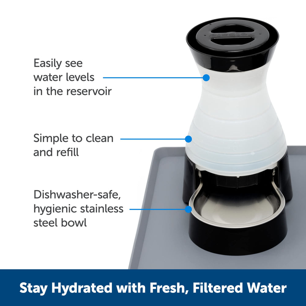 Healthy Pet Water Station - Medium, 128 oz Capacity - Gravity Pet Water Fountain, Automatic Cat Water Fountain, Dog Water Fountain, Water Dispenser - Removable Stainless Steel Bowl Included