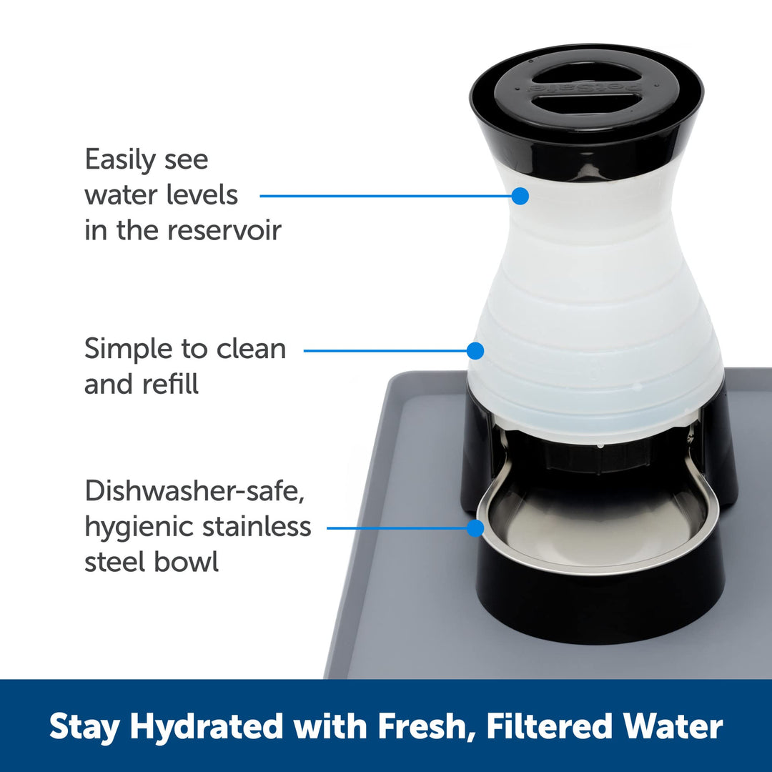 Healthy Pet Water Station - Small, 64 oz Capacity - Gravity Pet Water Fountain, Automatic Cat Water Fountain, Dog Water Fountain, Water Dispenser - Removable Stainless Steel Bowl Included