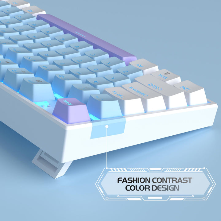 75% Mechanical Gaming Keyboard with Blue Switch, LED Blue Backlit Keyboard, 87 Keys Compact TKL Wired Computer Keyboard for Windows Laptop PC Gamer - Blue/White