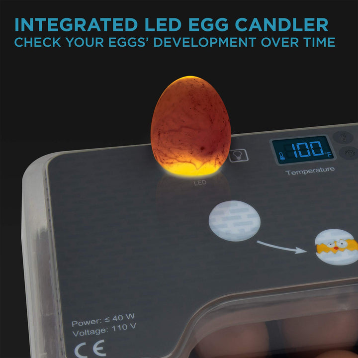 Clear Egg Incubator, Fully Automatic Digital Poultry Hatching Machine, Temperature Control & Automatic Egg Turner, LED Candler, Mini 12-35 Egg Incubator Breeder for Chicken, Ducks & More