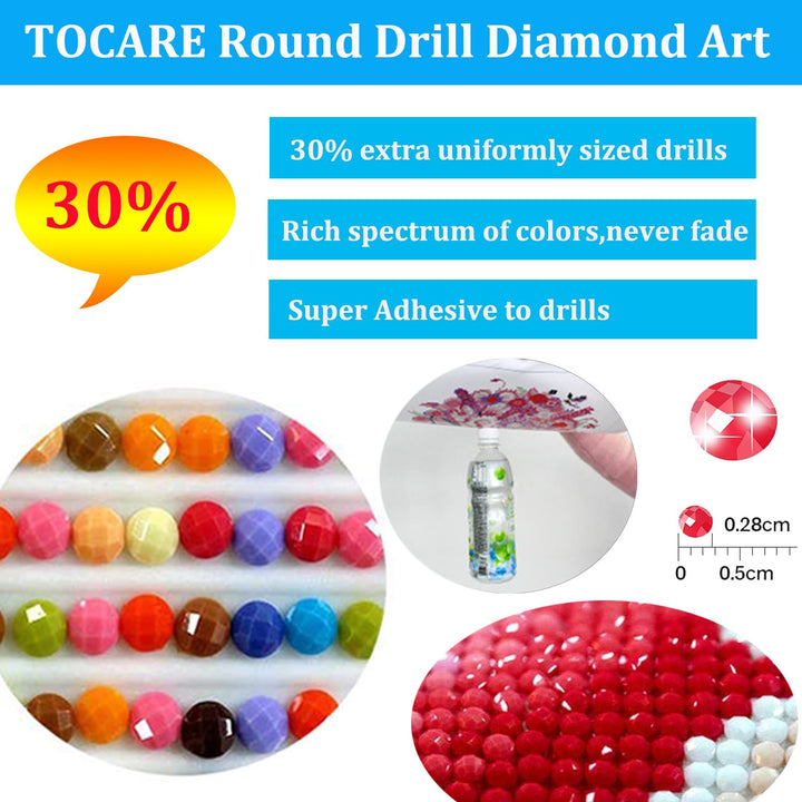 DIY Extra Large Size 5D Diamond Painting Kits for Adults 16x31.5Inch Round Full Drill Diamond Embroidery Dotz Kit Home Wall Art Decor- Native American Indian Woman