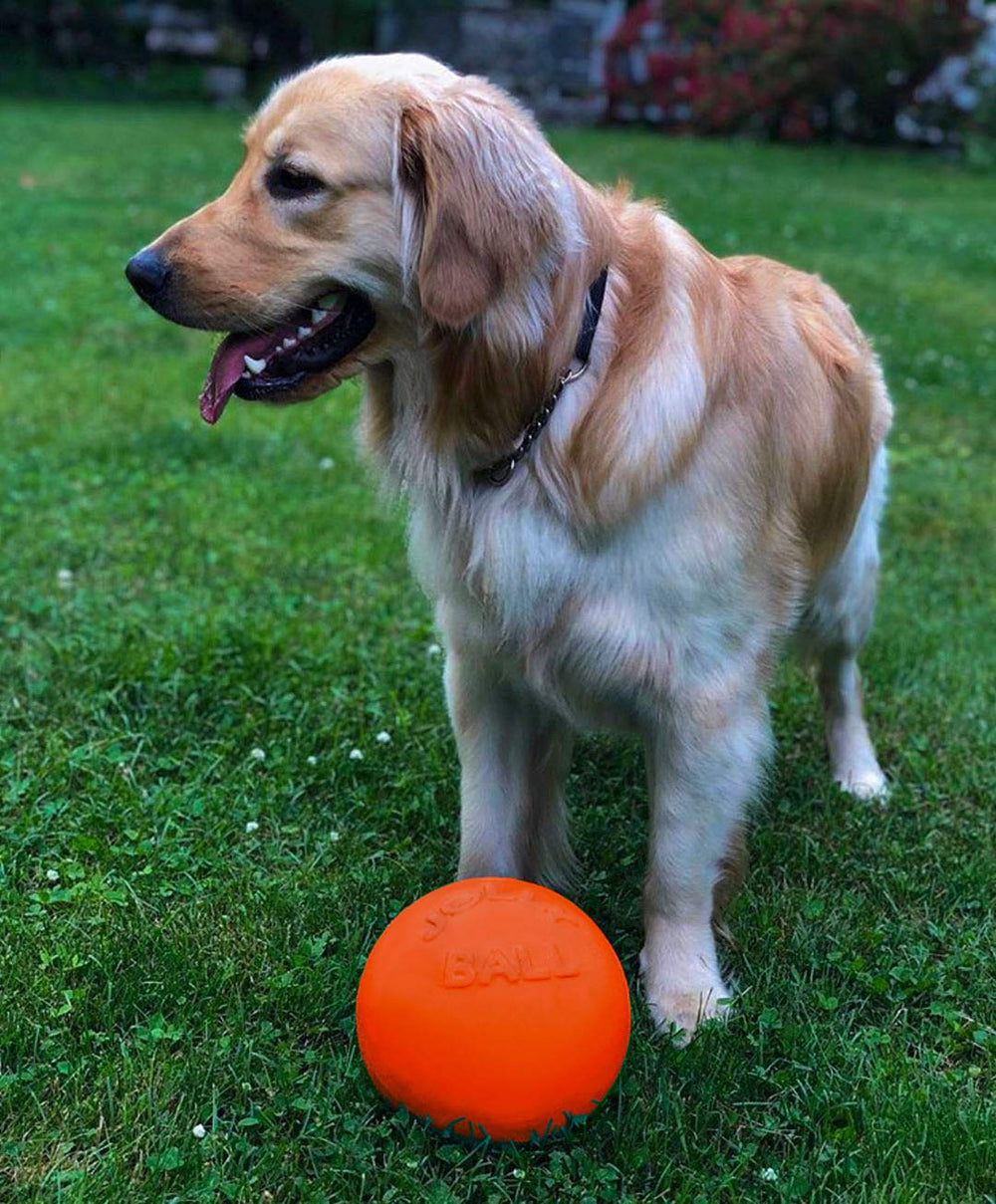 Bounce-n-Play Dog Toy Ball, 8 Inches/Large, Orange, (Model: 2508 OR)
