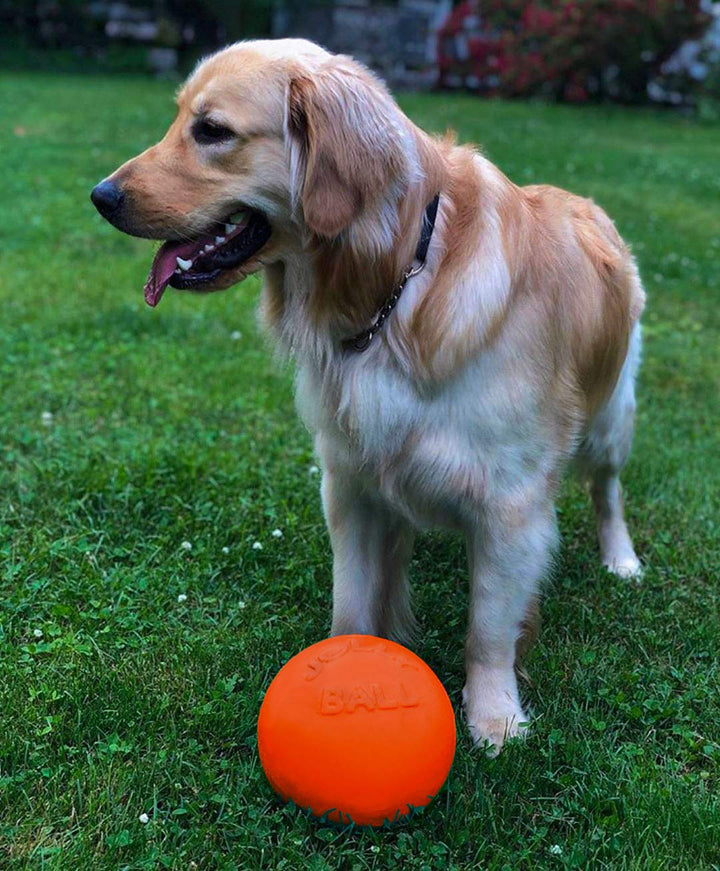 Bounce-n-Play Dog Toy Ball, 8 Inches/Large, Orange, (Model: 2508 OR)