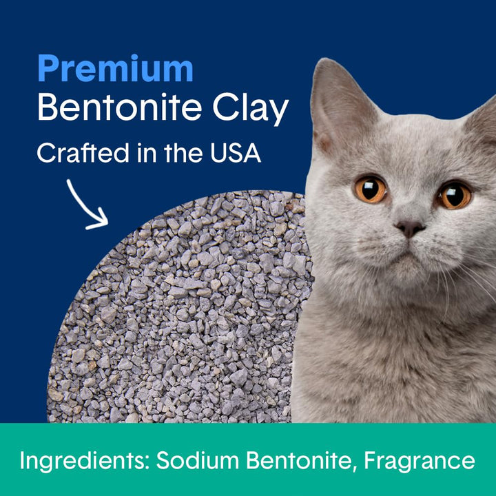 Boxie® Gently Scented 30 Day Natural Odor Control Cat Litter, 28lb Clumping Clay Kitty Litter