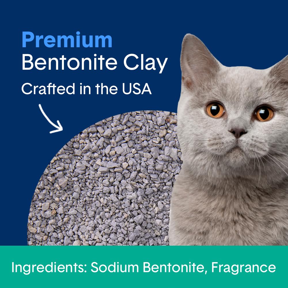 Boxie Gently Scented Cat Litter, 30-Day Odor Control, Clumping Clay, 16lb