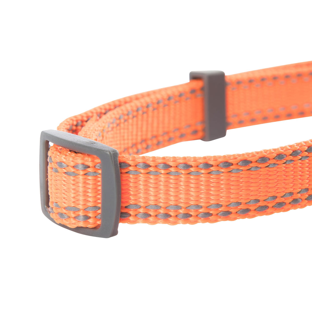 Classic Preformance Webbing Pet Collar, Fully Adjustable, Available in Solid Colors and Camo Patterns, Safety Orange, Small