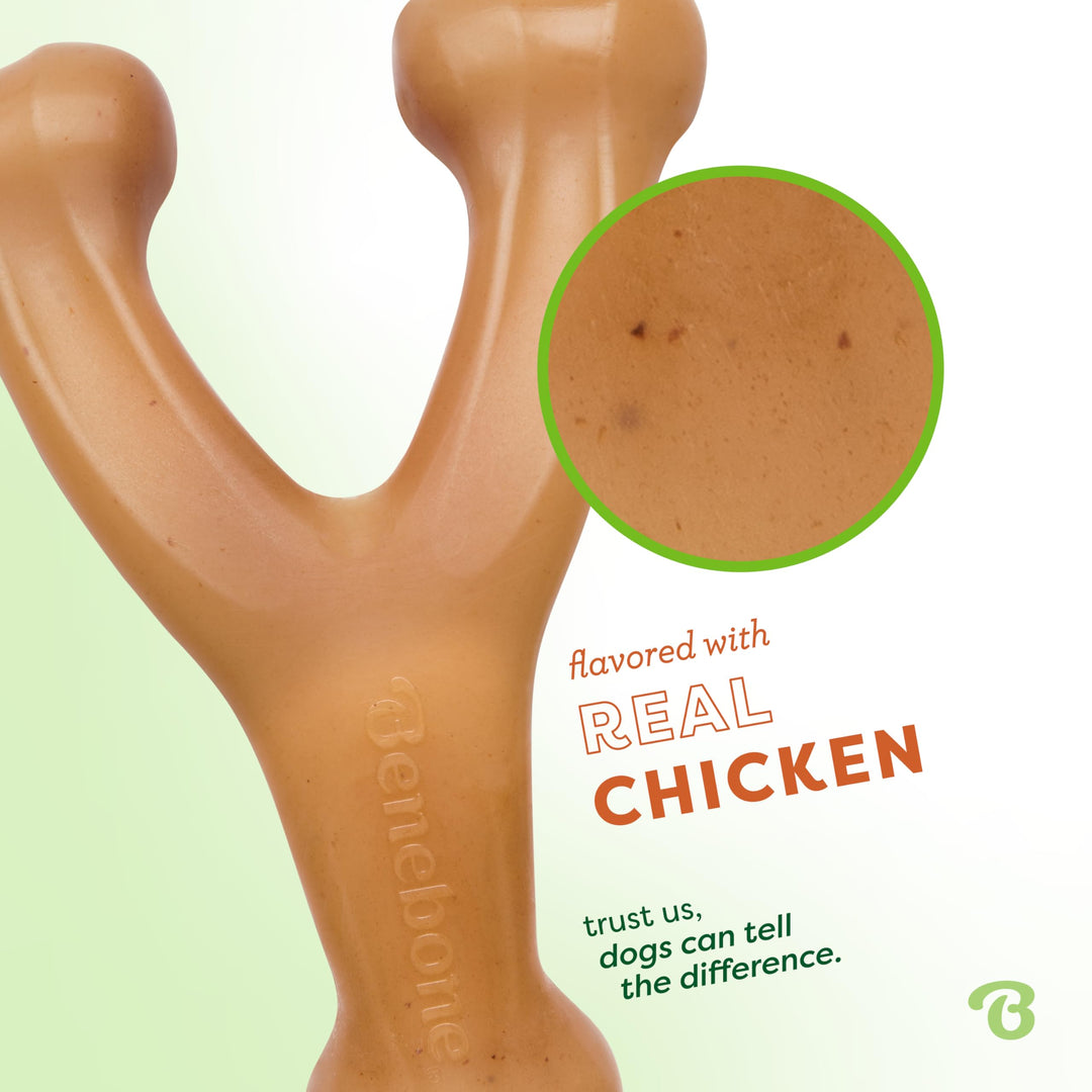 Wishbone Durable Dog Chew Toy for Aggressive Chewers, Real Chicken, Made in USA, Small, for Any breed