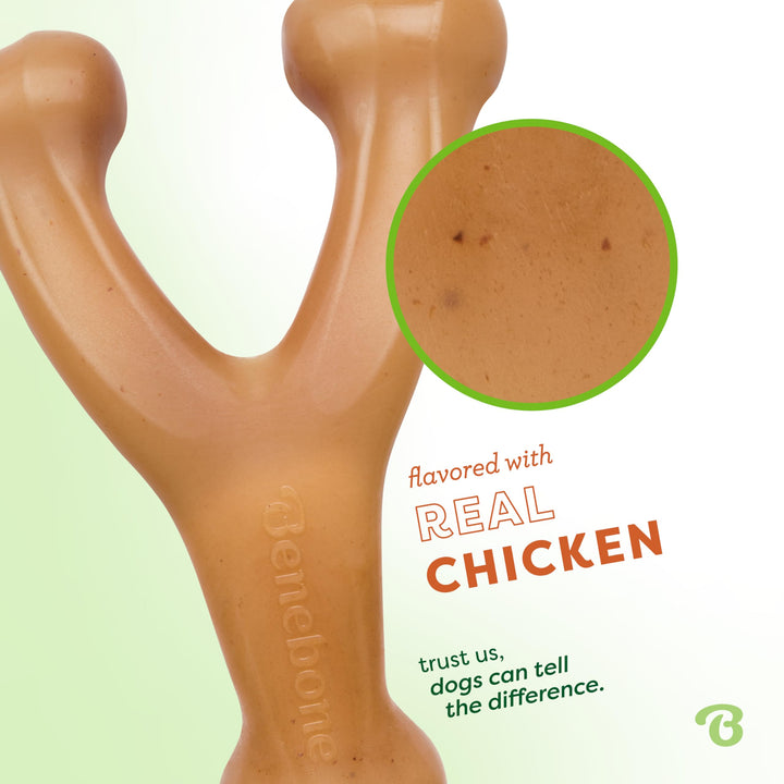 Wishbone Durable Dog Chew Toy for Aggressive Chewers, Real Chicken, Made in USA, Small, for Any breed