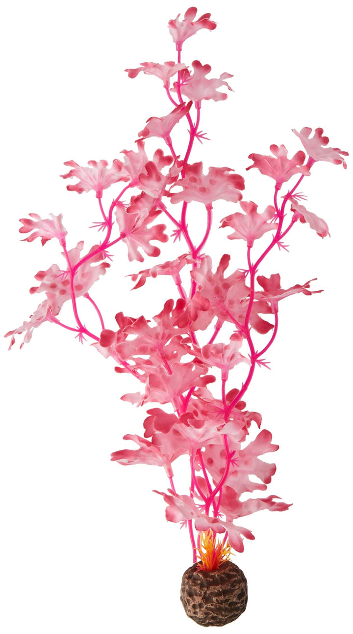 BiOrb 46082.0 Kelp Set Medium Pink Aquariums