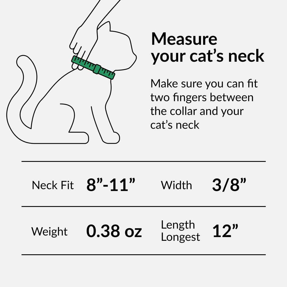 Leather Cat Collar with Bell - Kitten Collar, Small and Big Cat Collar for Boy Cats, Girl Cats with Safety Elastic Strap (Neck Fit 8-11, Mint Green)