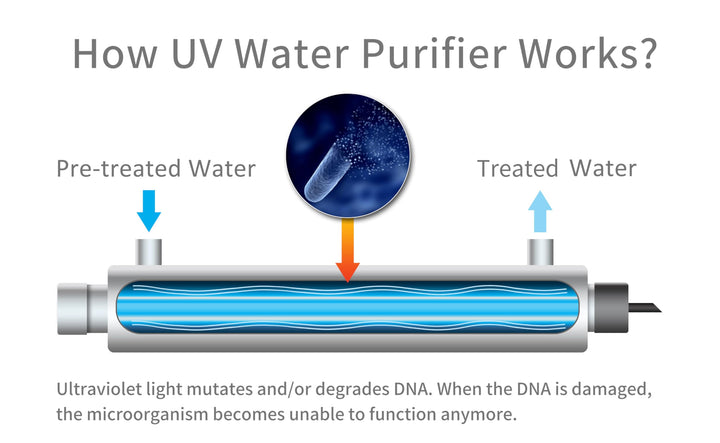 -OWS-6 Ultraviolet Water Purifier Filter for Kitchen Water Purification,6GPM 110V 25W Model -UV-6GPM + 1 Extra UV Tube