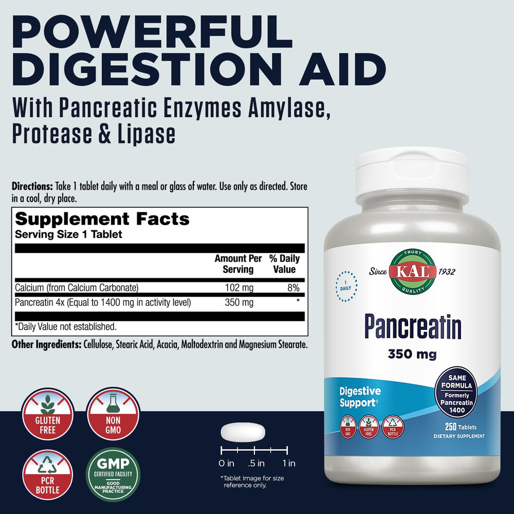 Pancreatin 350mg, Digestive Enzymes for Women and Men, Pancreatic Enzymes for Digestive Health Support, Gluten Free, Non-GMO, Rapid Disintegration, 60-Day Guarantee, 250 Servings, 250 Tablets