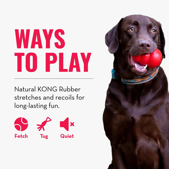 Tug Toy - Dog Supplies for Tug of War - Natural Rubber Dog Toy for Outdoor & Indoor Playtime - for Medium/Large Dogs