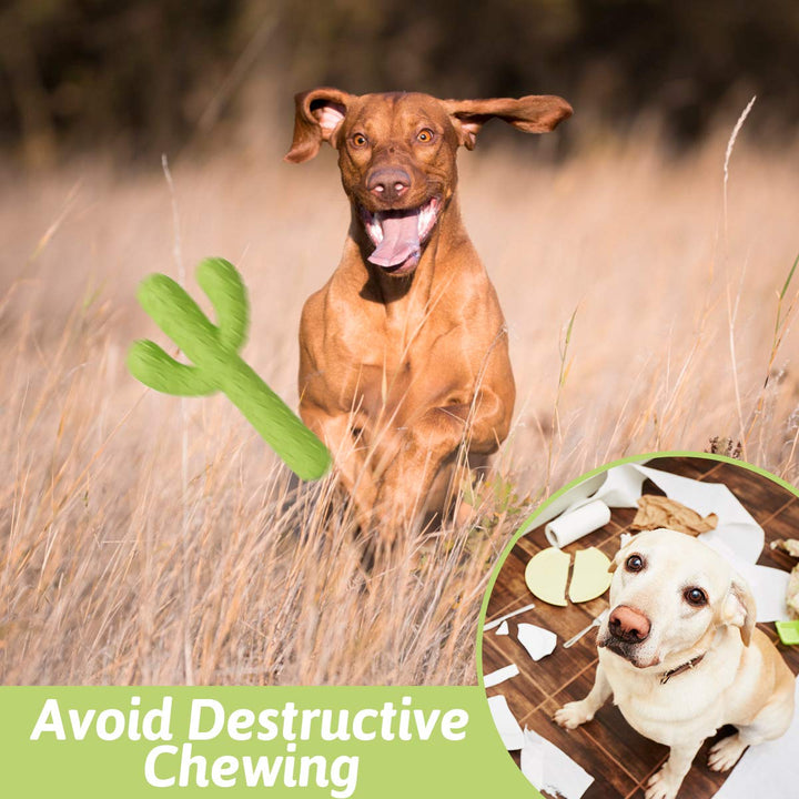 Dog Chew Toys for Aggressive Chewers, Durable Rubber Cactus Tough Toys for Training and Cleaning Teeth, Interactive Dog Toys for Small/Medium Dog
