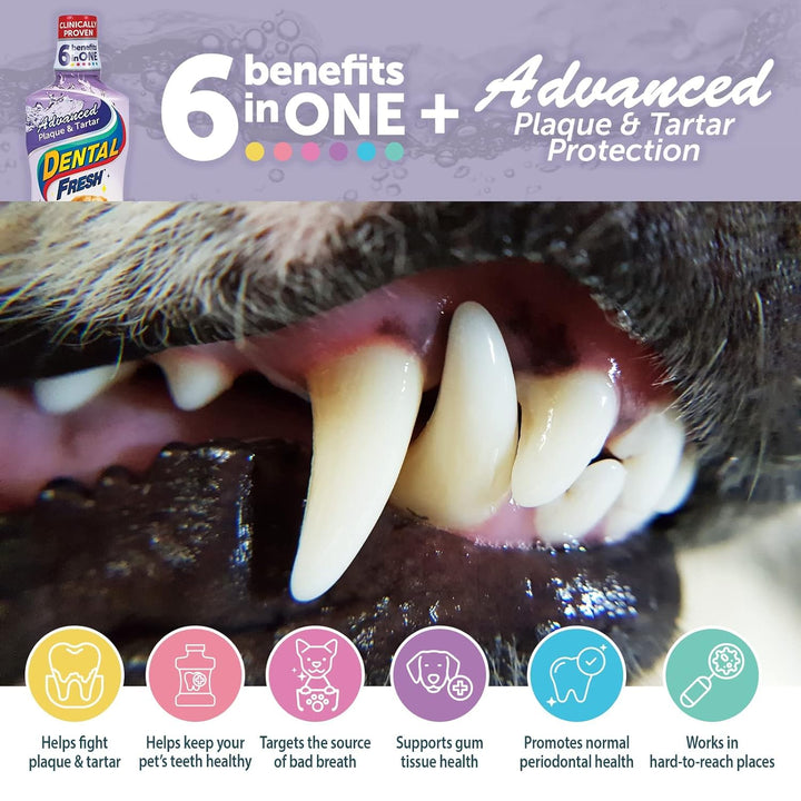 Advanced Plaque and Tartar Water Additive, 8oz – Dog Teeth Cleaning Formula to Freshen Breath and Improve Overall Oral Health