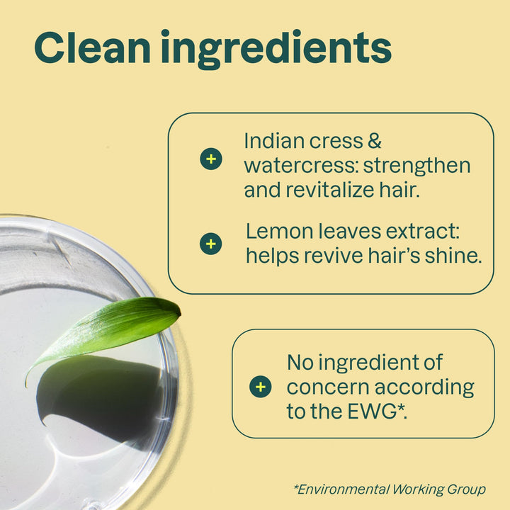 Natural Shampoo - Clarifying, White Tea and Lemon Leaves, 16 Fluid Ounce