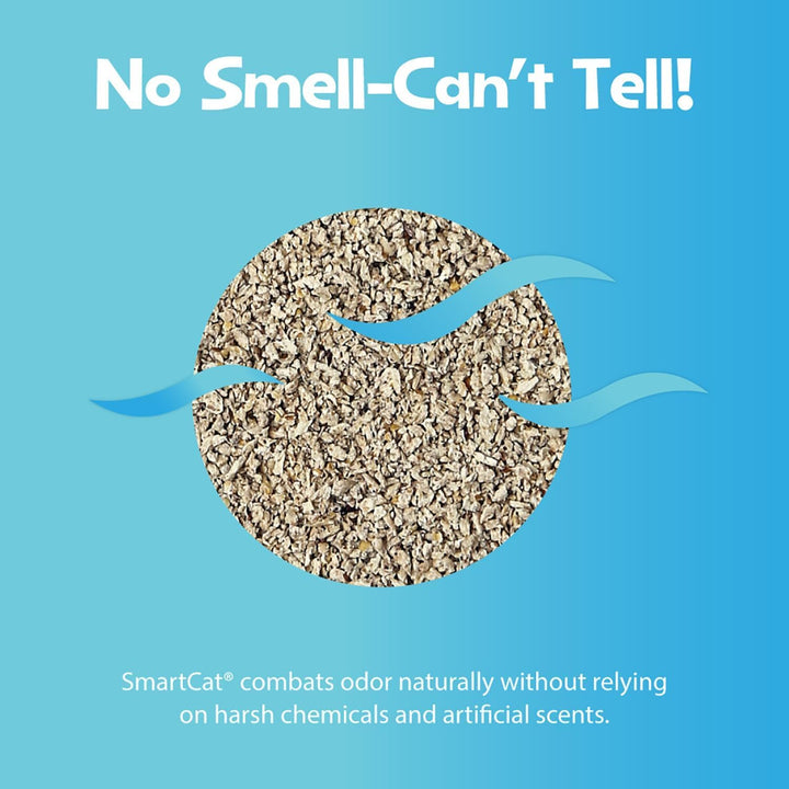 All Natural Clumping Cat Litter - Chemical and Dust Free - Alternative to Clay and Pellet Litter - Unscented and Lightweight - 5 Pounds