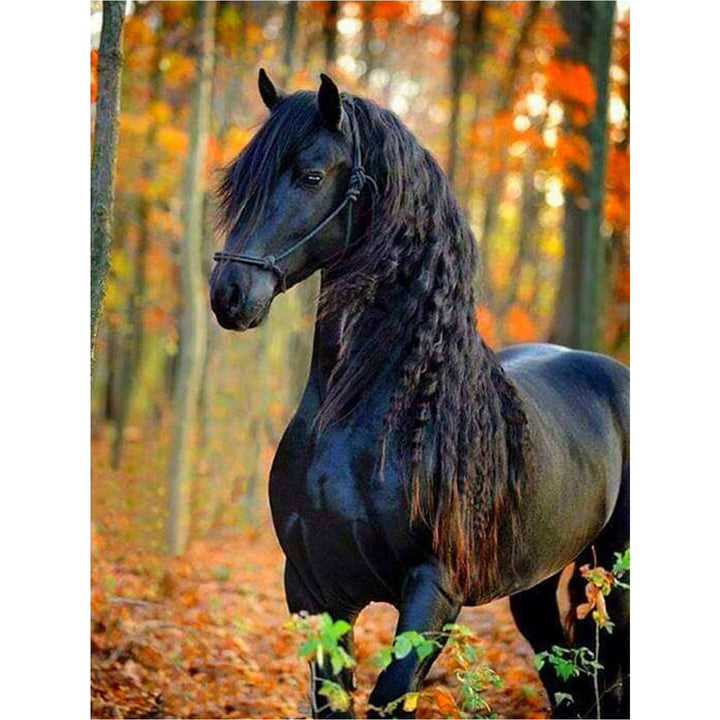 Diamond Art Painting Horse- Full Drill Diamond Mosaic Painting Kits,5d Diamond Art,Gem Art for Adults Wall Home Decor-12x16 inch (Horse)