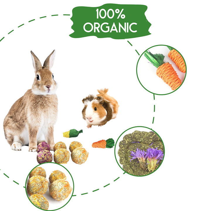 Rabbit Chew Toys 12PCS, Guinea Pig Toys, Bunny Toys for Teeth, Chew Toys and Treats for Rabbit Guinea Pig Hamster Chinchilla, Small Animal Teeth Care