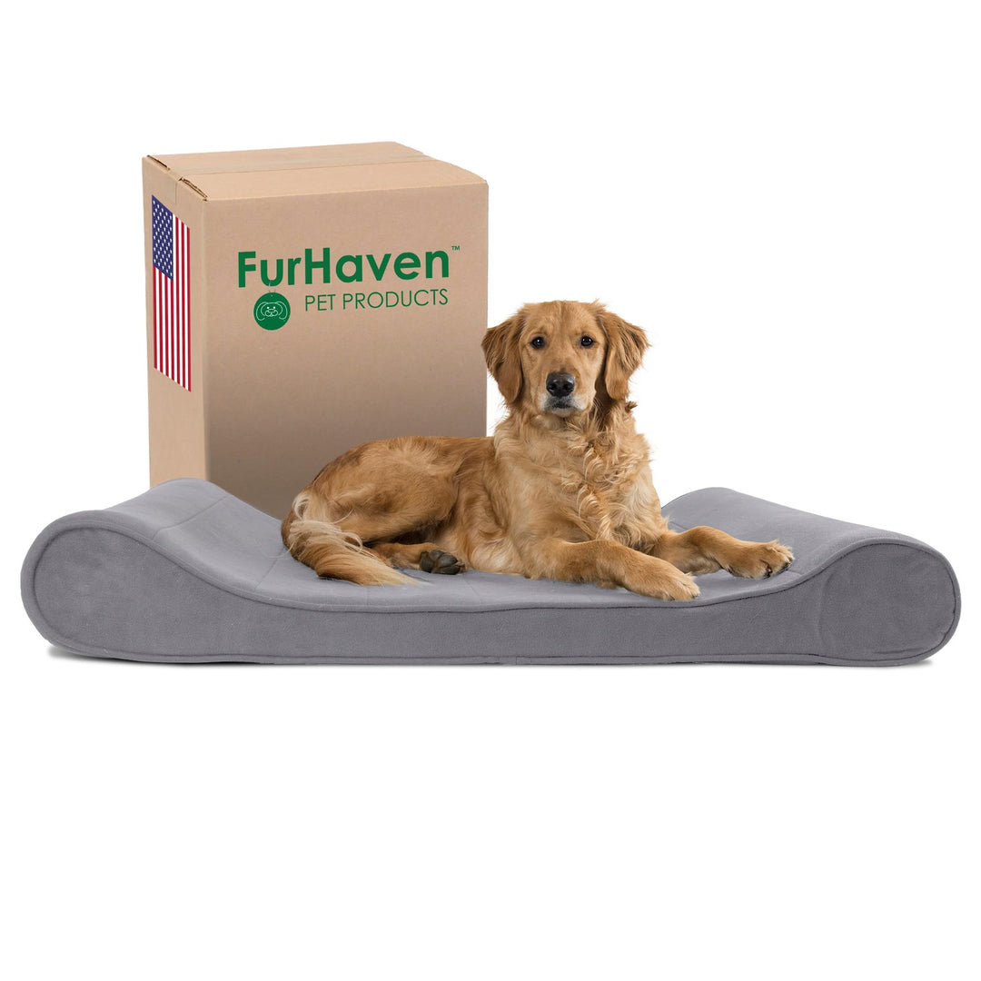 Orthopedic Dog Bed for Large Dogs w/ Removable Washable Cover, For Dogs Up to 75 lbs - Microvelvet Luxe Lounger Contour Mattress - Gray, Jumbo/XL