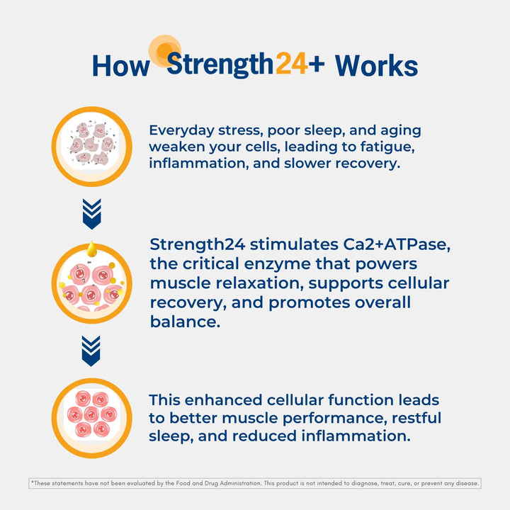 + Dietary Supplement for Cellular Health, Muscle Recovery, and Vibrant Aging