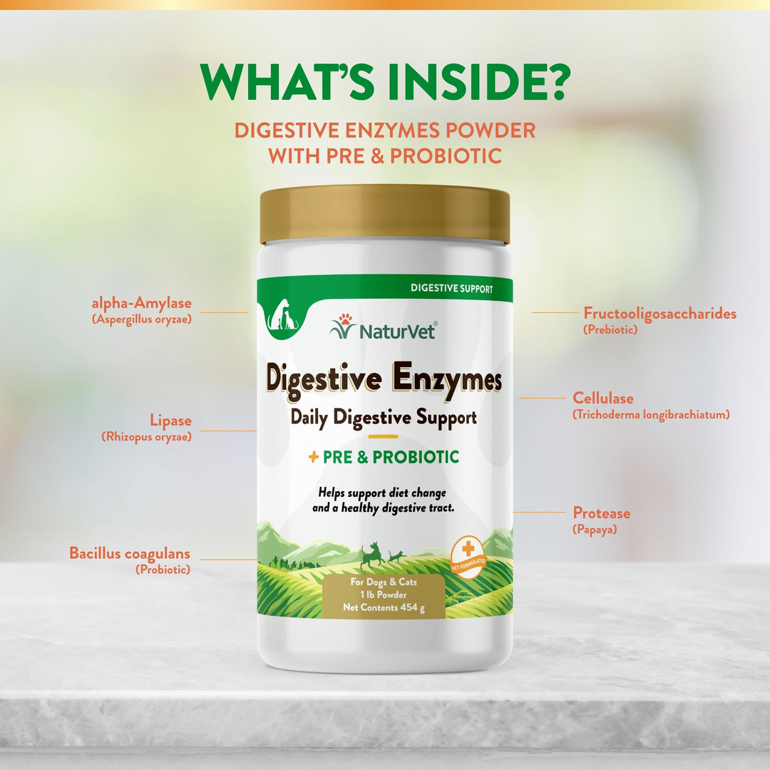 – Digestive Enzymes - Plus Probiotics & Prebiotics – Helps Support Diet Change & A Healthy Digestive Tract – for Dogs & Cats – 1 lb Powder