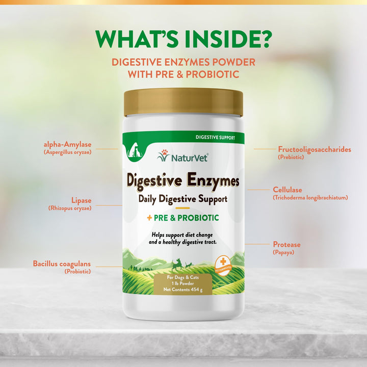 – Digestive Enzymes - Plus Probiotics & Prebiotics – Helps Support Diet Change & A Healthy Digestive Tract – for Dogs & Cats – 1 lb Powder