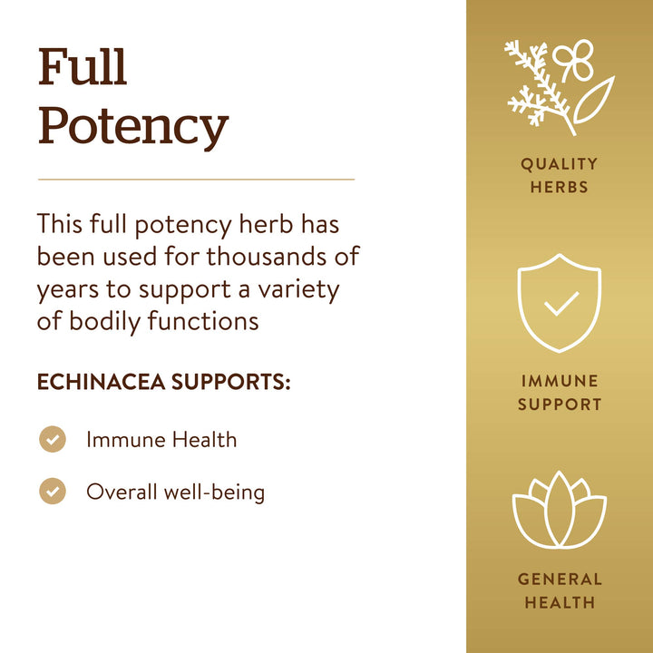 Solgar - Standardized Full Potency Echinacea Herb Extract, 60 Vegetable Capsules