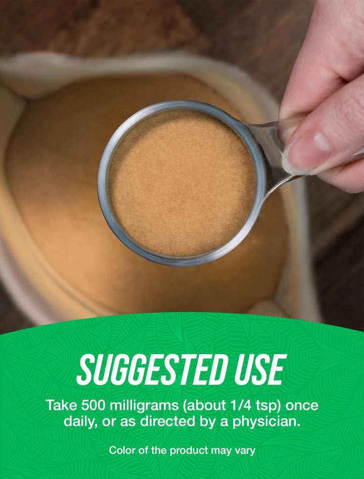 .com Ajuga Turkest Extract Powder - Herbal Supplement Powder, Ajuga Powder, Ajuga 500mg - Pure & Gluten Free, 500mg per Serving, 500g (1.1 lbs) (Pack of 1)