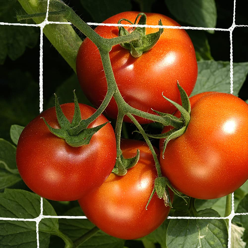 Trellis Netting, Heavy-Duty Garden Plant Trellis Netting for Climbing Plants, Outdoor Indoor Grow Net for Beans Tomatoes Peas Pumpkin Flowers, 6x15ft, 1 Pack