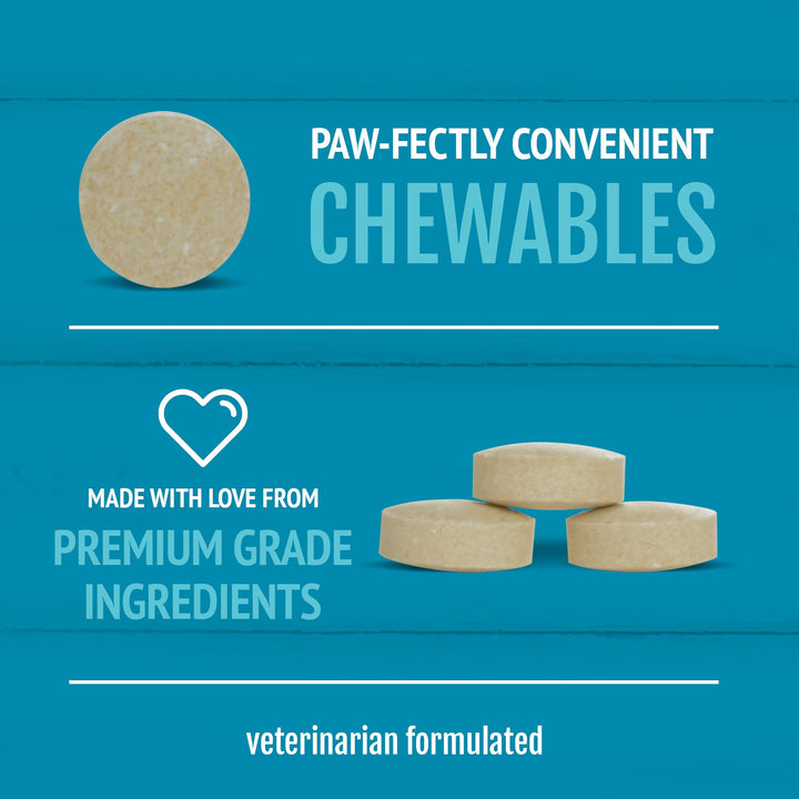 Brewers Yeast Chewables for Dogs, 250 Count