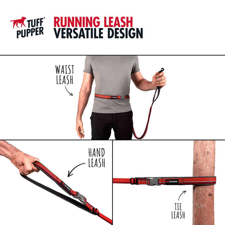 Dog Training Bungee Leash | Comfortable Neoprene Handle | Heavy Duty Zinc Alloy Hardware | Perfect Training Lead for Medium to Large Dogs