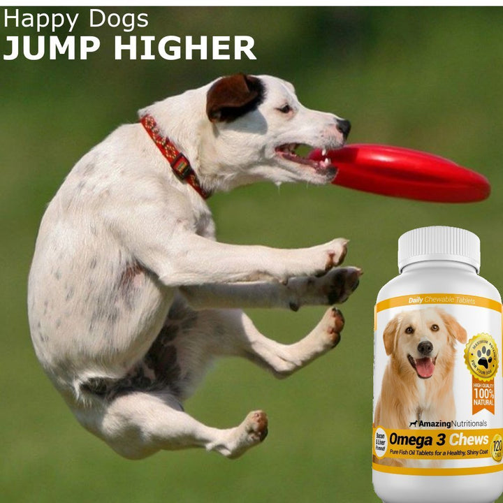 Amazing Omega 3 for Dogs - Omega 3 Fish Oil for Dogs Supplement for Itchy Skin Relief for Dry Skin and Hot Spots and Shedding Coat with EPA and DHA Fatty Acids - 120 Bacon Flavor Chews