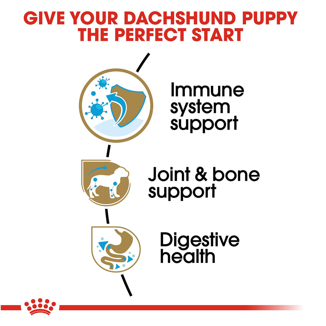 Dachshund Puppy Breed Specific Dry Dog Food, 2.5 lb bag
