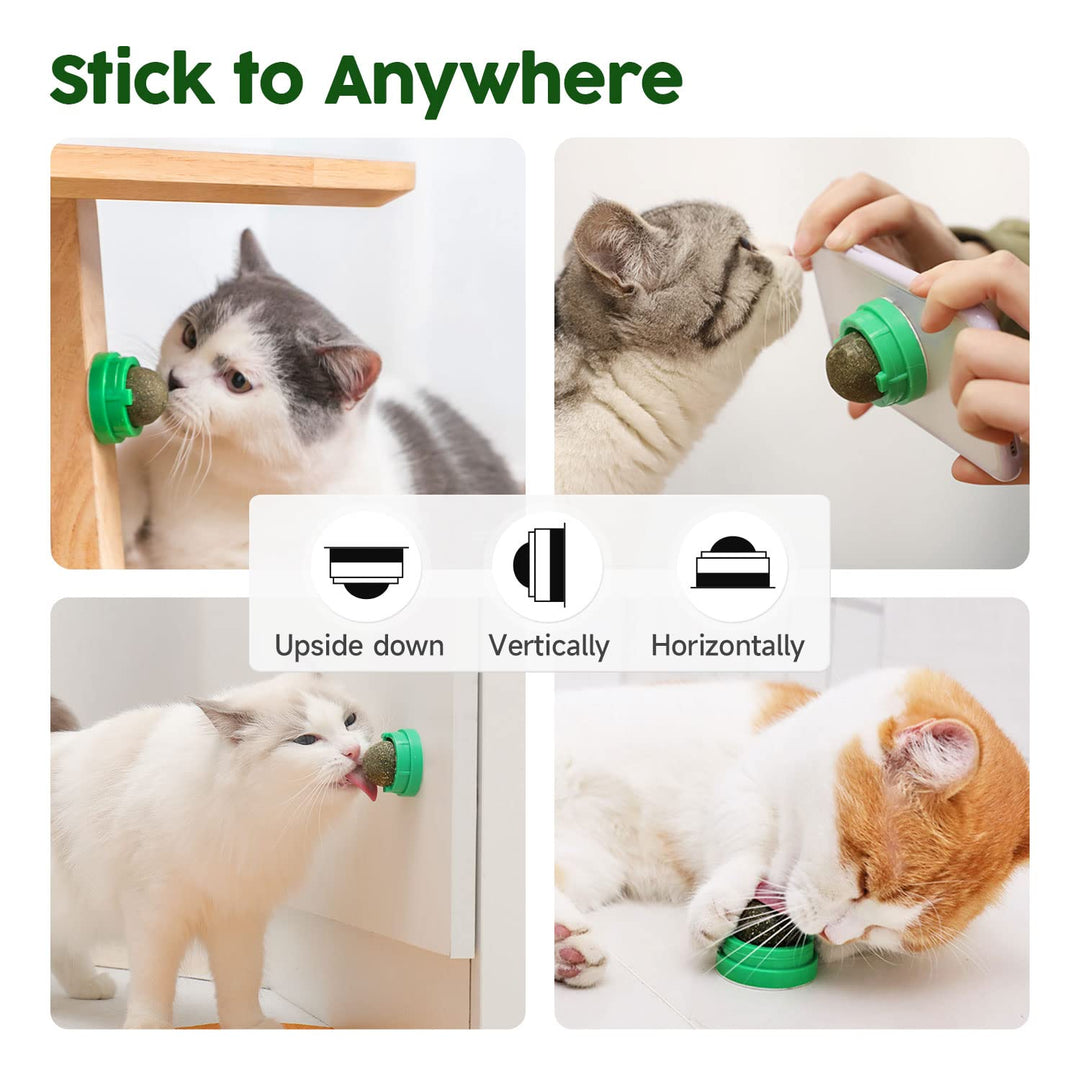 Catnip Toys Balls 4 Pcs, Extra Cat Energy Ball, Edible Kitten Silvervine Toys for Cats Lick, Healthy Kitty Teeth Cleaning Dental Chew Toys, Cat Wall Treats (Green)