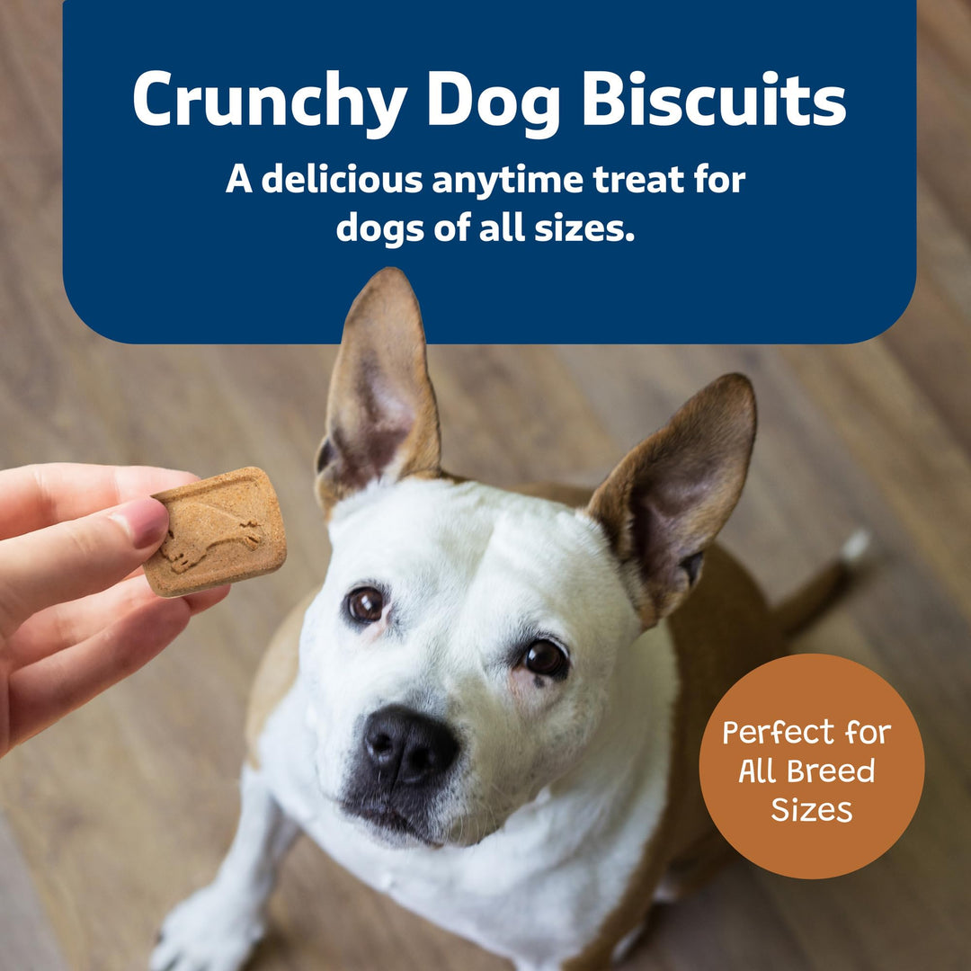 Health Bars Crunchy Dog Biscuits, Oven-Baked With Natural Ingredients, Pumpkin & Cinnamon, 16-oz Bag