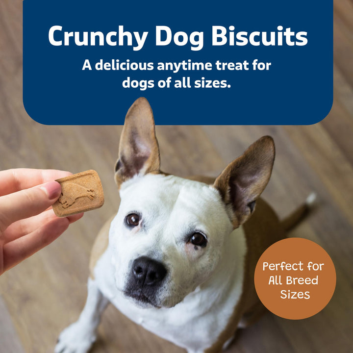 Health Bars Crunchy Dog Biscuits, Oven-Baked With Natural Ingredients, Pumpkin & Cinnamon, 16-oz Bag