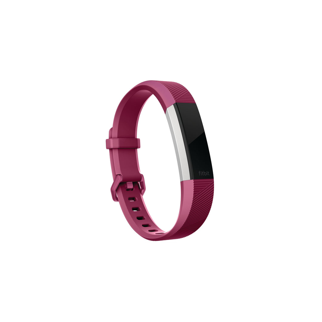 Alta HR and Alta Classic Accessory Band, Fuchsia, Large