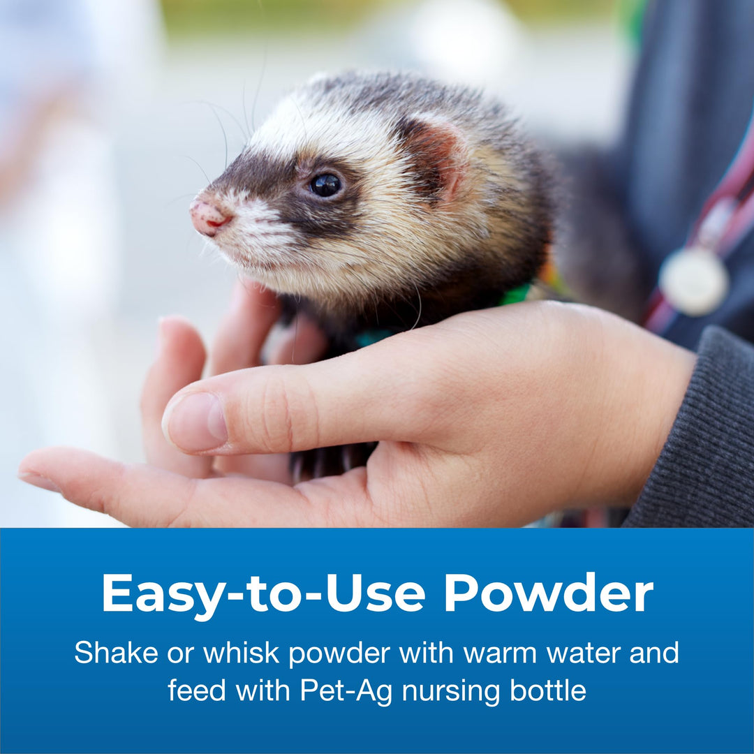 Pet-Ag PetLac Pet Powder - 10.5 oz - Milk Replacement Powder for All Pets - Easy to Digest