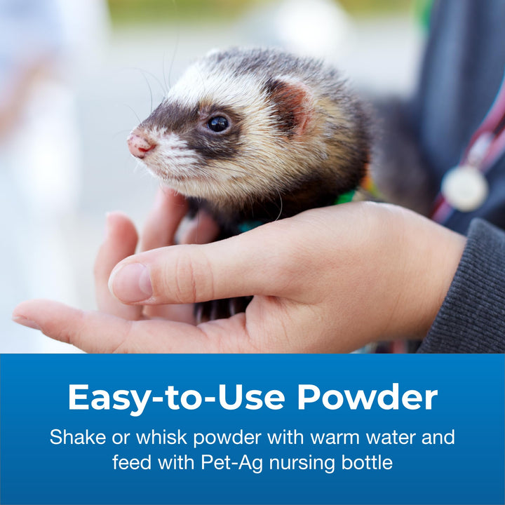 Pet-Ag PetLac Pet Powder - 10.5 oz - Milk Replacement Powder for All Pets - Easy to Digest