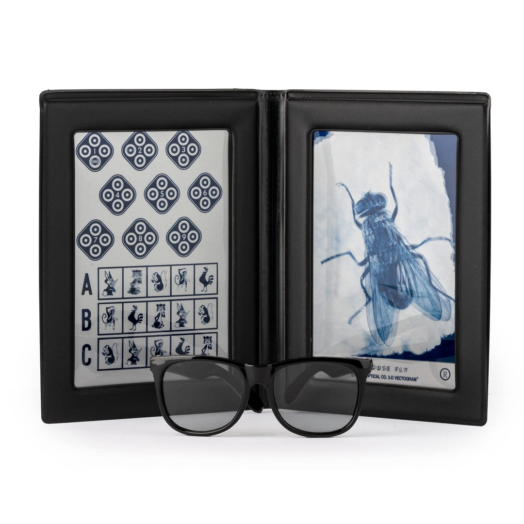 Stereo Fly Vision Test (SO001) for Evaluation of Gross Stereopsis and Fine Depth Perception