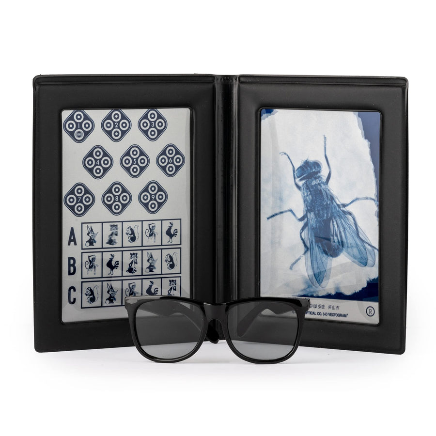 Stereo Fly Vision Test (SO001) for Evaluation of Gross Stereopsis and Fine Depth Perception
