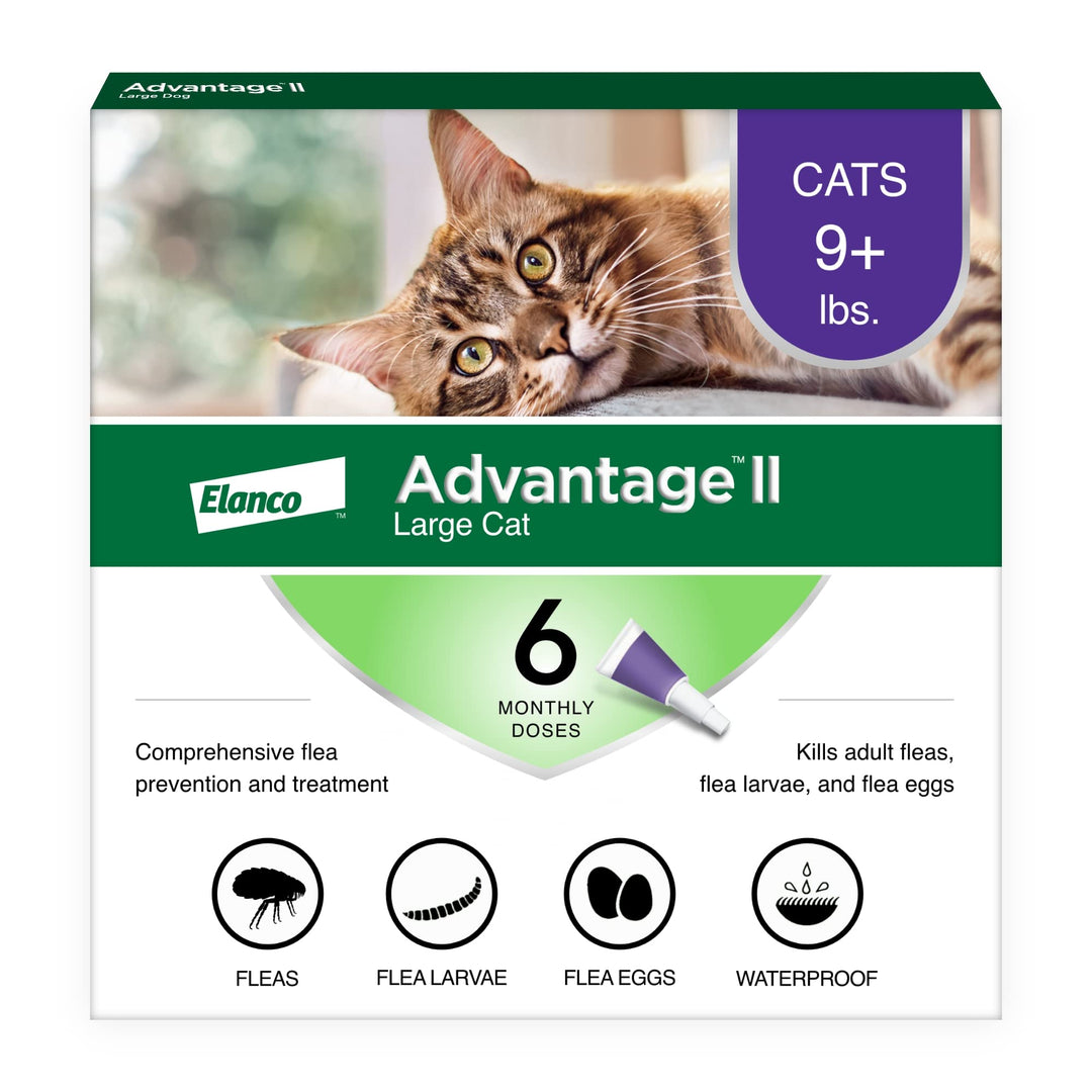 II Large Cat Vet-Recommended Flea Treatment & Prevention | Cats Over 9 lbs. | 6-Month Supply